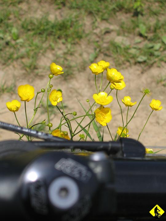 IMG_1091.JPG - Potem już nie robiłem zdjęć, a powinienem, bo było kilka miejsc godnych uwagi (już kolejny raz mi sie to zdarza) jak np. Przełęcz Carchel czy Kozie skały.