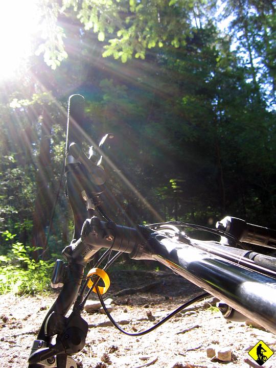 IMG_1870.jpg - Strart pasmem Żurawnicy, które tak bardzo spodobało mi się ostatnio. Zdecydowałem, że zrobię foty tych miejsc, które pominąłem poprzednio.