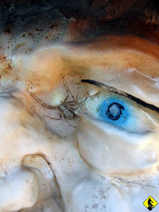 IMG_1878.jpg - Później po kilku latach, ktoś ułamał go w nogach i porzucił w lesie nieopodal. Wnuczek odnalazł dziadka i skleił go gipsem.I tak oto stoi po dziś dzień.