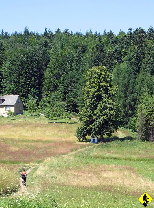 IMG_1886.jpg - Malownicza przełęcz Carchel