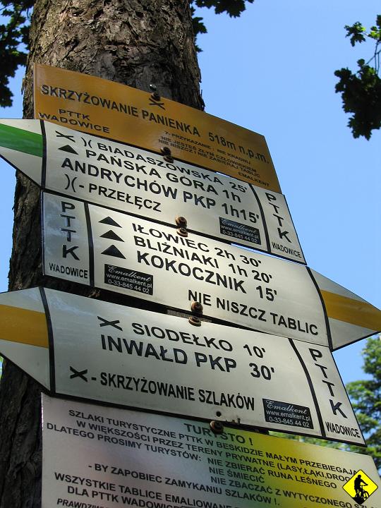 IMG_1958.jpg - Panienka. Jedzienie i narada. Decyzja: Żółtym do niebieskiego przez Bli źniaki.